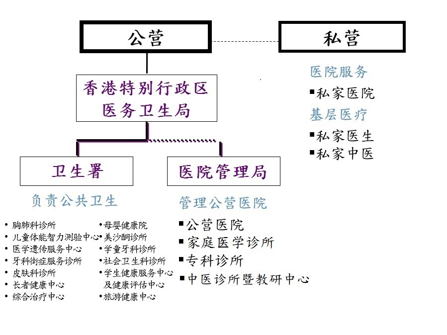 本港的医疗体系架构及有关服务